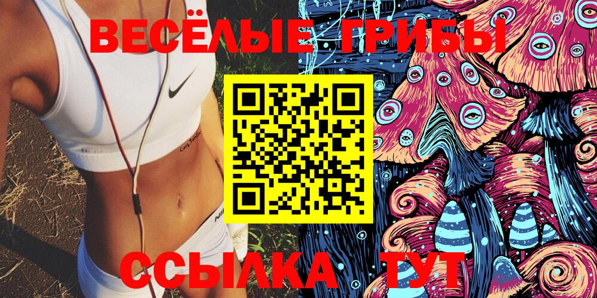 Псилоцибиновые грибы GOLDEN TEACHER Новокузнецк