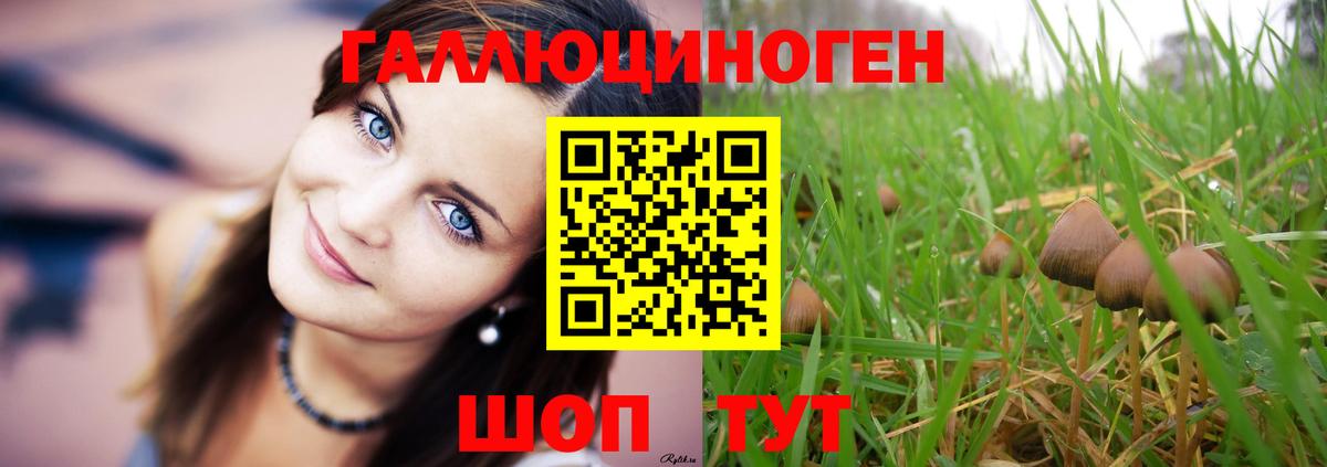 Псилоцибиновые грибы мицелий  Вход с VPN  купить наркотик  Новокузнецк 